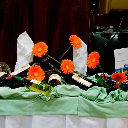 Vip Executive Diplomatico Hotel